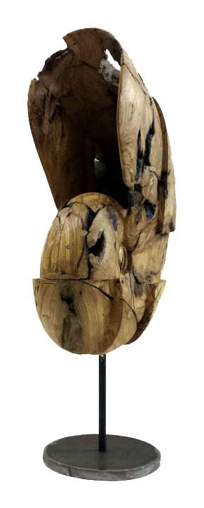 Caracolas — Javier Salvadores