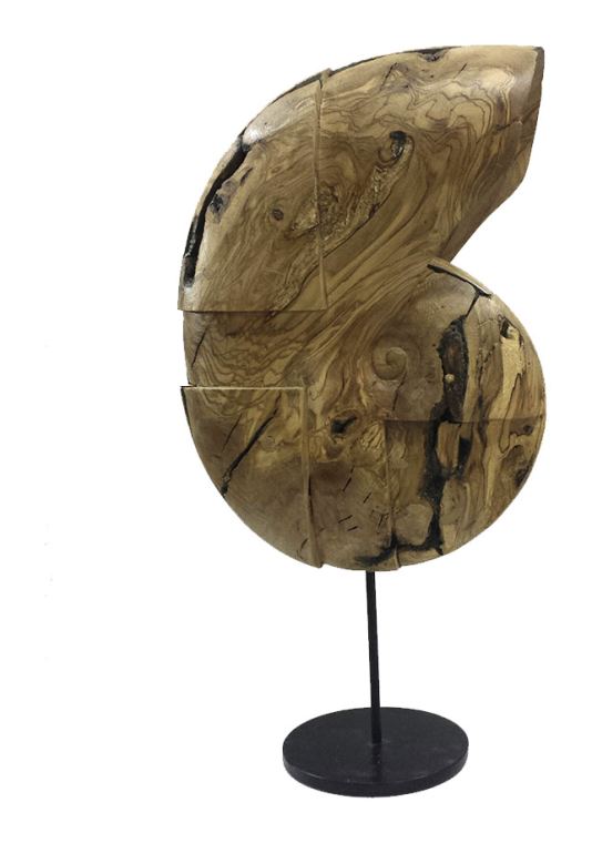 Caracola 7