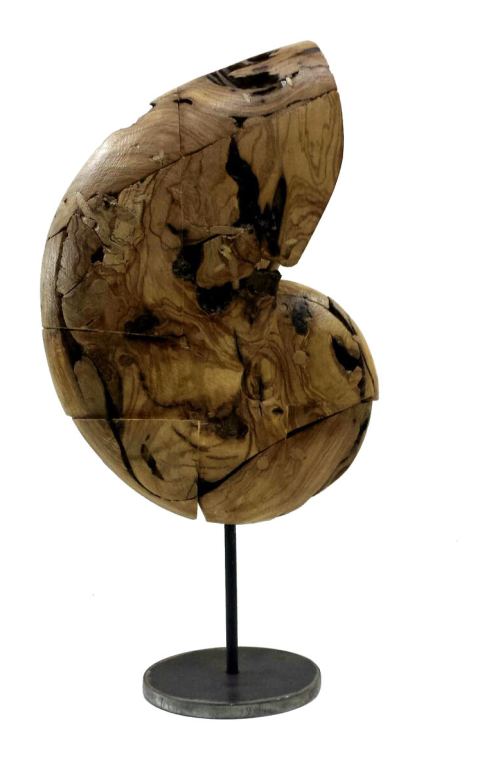 Caracola 2