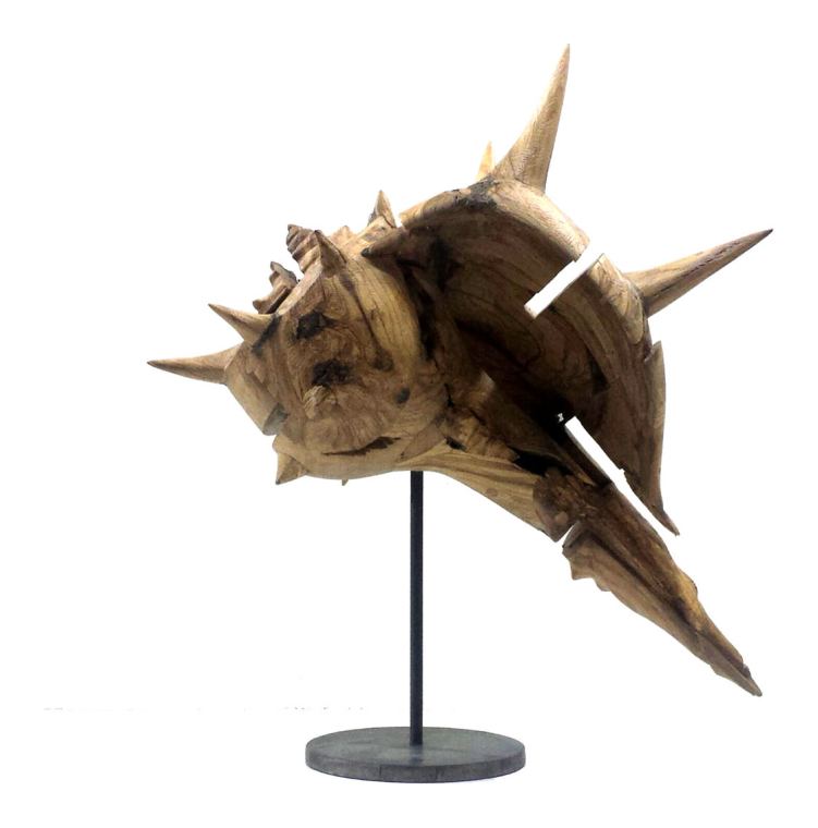 Caracola 6